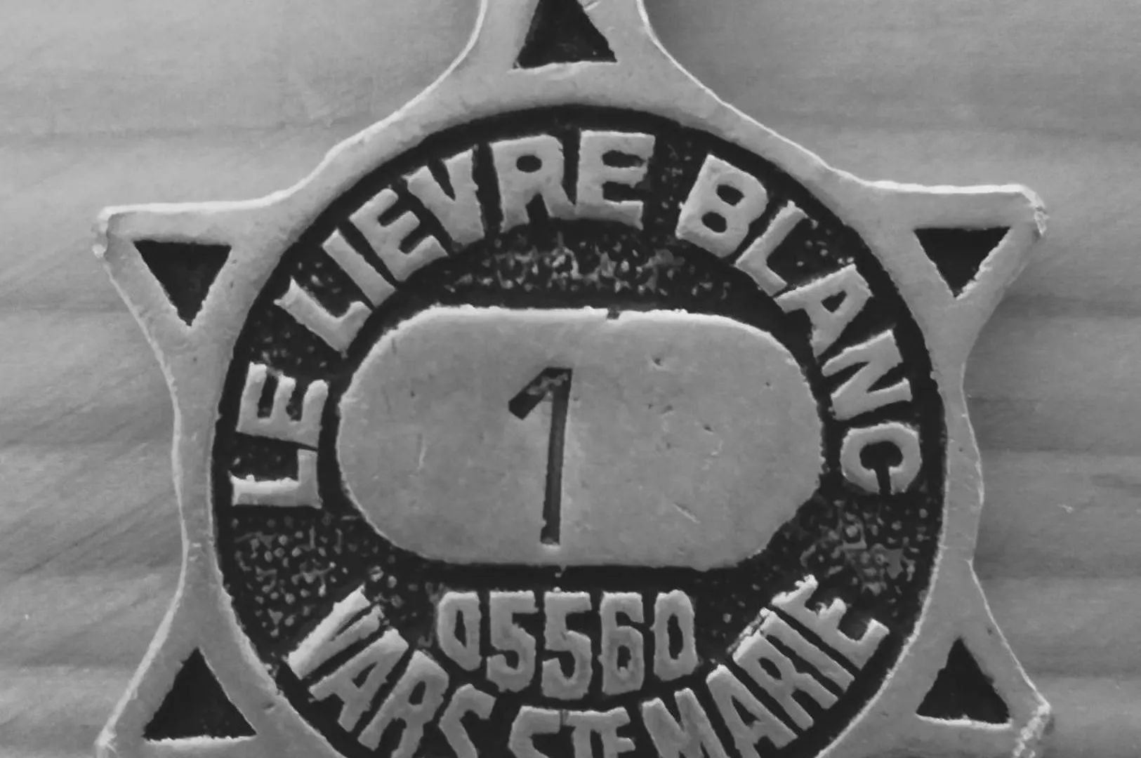 ** Hotel Hôtel Le Lievre Blanc Vars  France